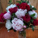 505995668 10162695954096970 3778691642423214778 n