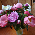 Outstanding soft pink peony bouquet by Evans Tree Farm Missoula Montana